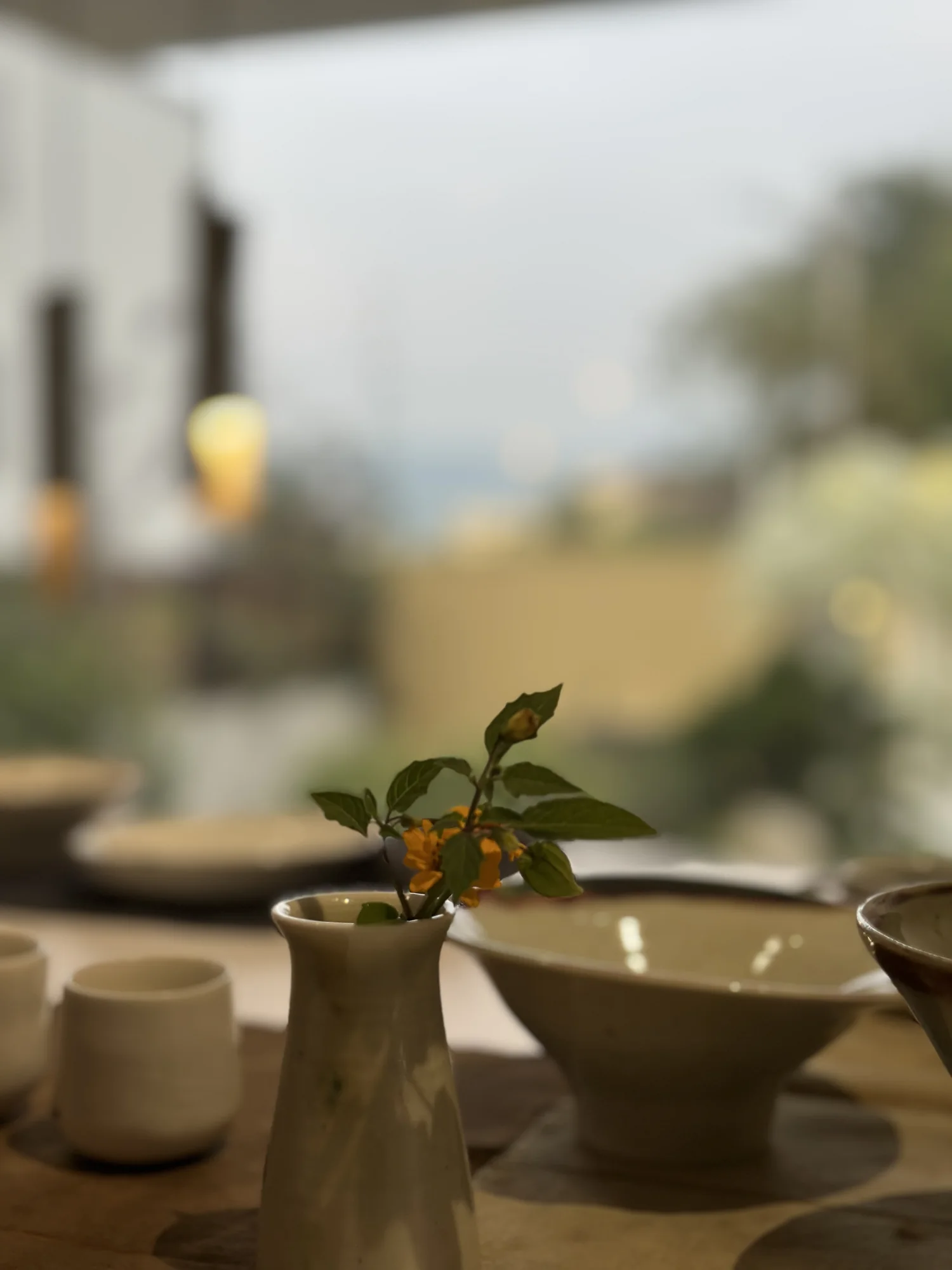 窗邊茶桌上的花器與自然光