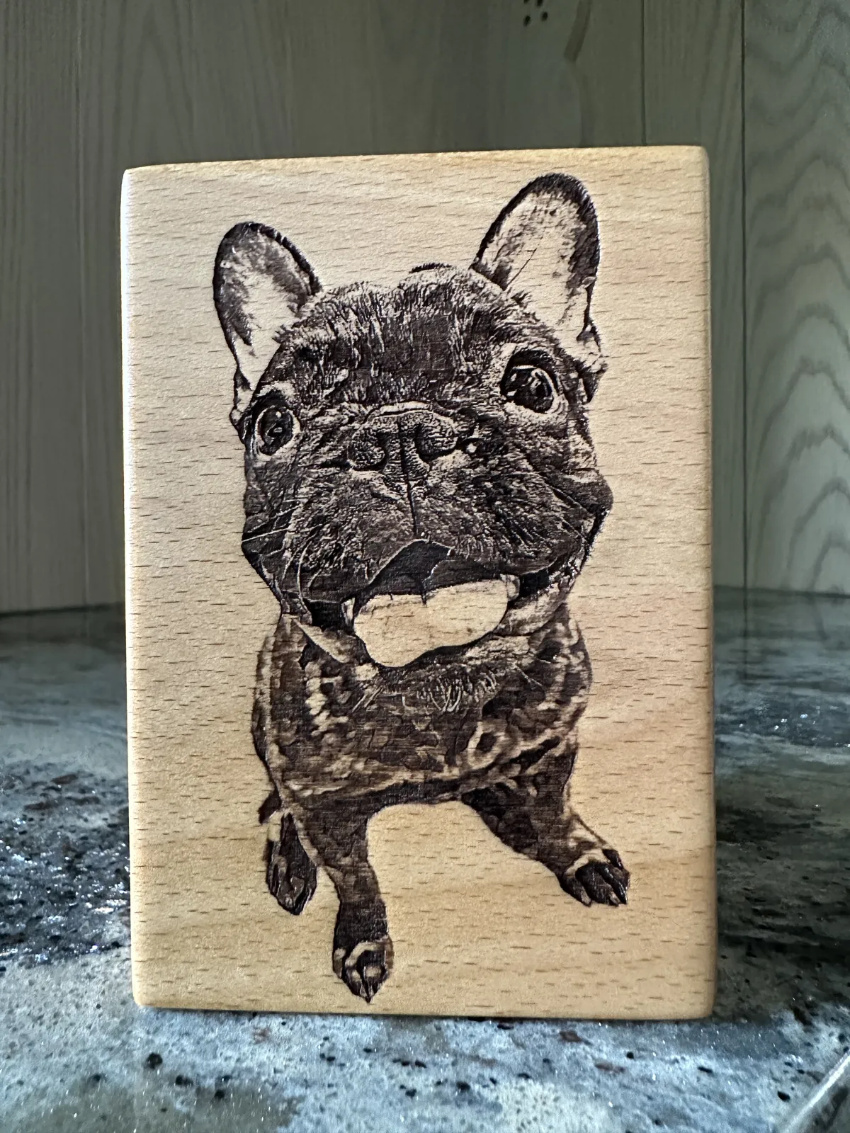 法國鬥牛犬正面肖像雕刻在木板上的完成作品