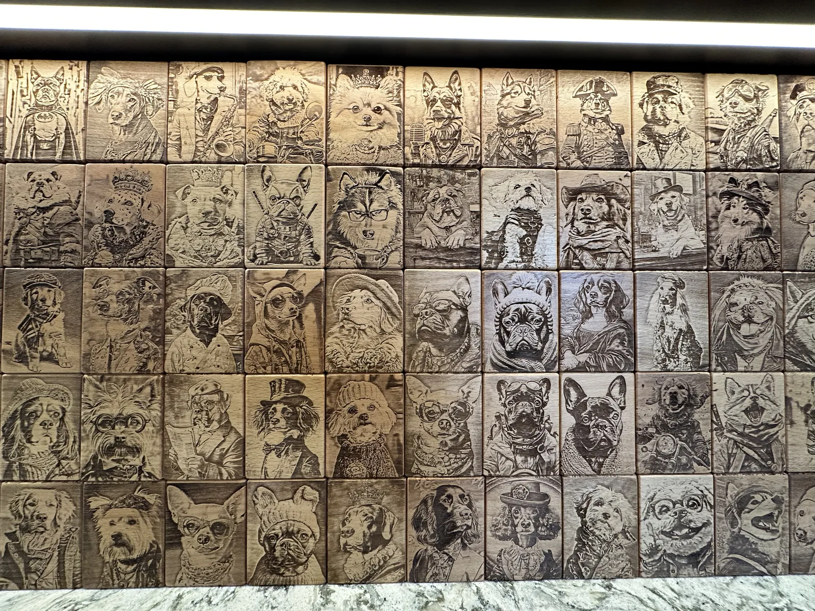 多款貓狗角色肖像木板整齊排列的作品展示牆