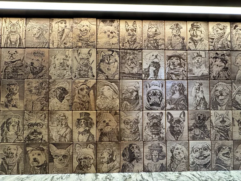 多款貓狗角色肖像木板整齊排列的作品展示牆